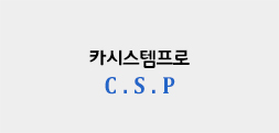  카시스템프로(CSP) (성동점)